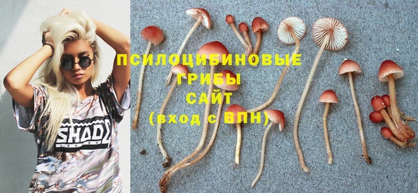 спайс Алексеевка