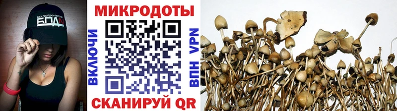 МЕГА зеркало Томмот Псилоцибиновые грибы мухоморы